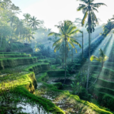 bali-tour-packages-from-hyderabad